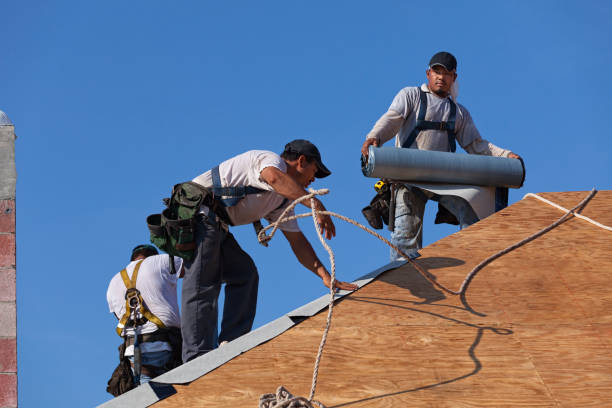 Best Roof Gutter Cleaning  in Sam Rayburn, TX